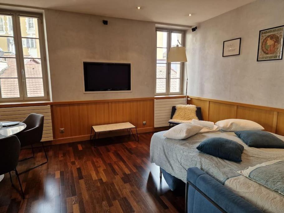 Appartement Annecy Centre Historique Parking Inclus Εξωτερικό φωτογραφία